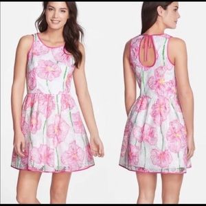 Lily Pulitzer Darcelle Full Skirt Party Dress